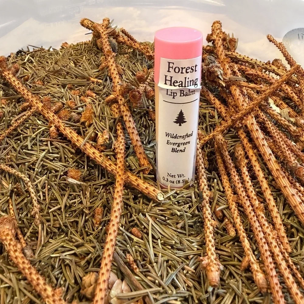 Wildcrafted Evergreen Blend Lip Balm